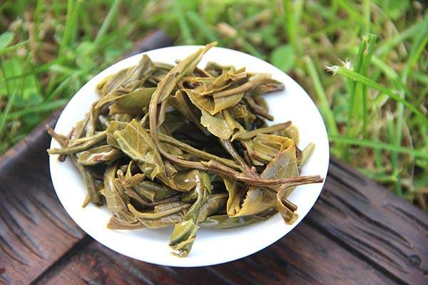 古树茶功效